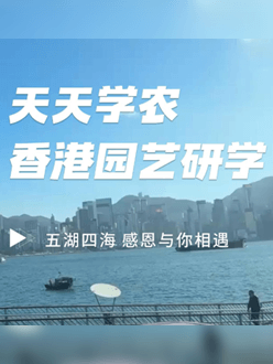 与香港园艺学会联合举办香港园艺研学，专业园境师带队讲解。