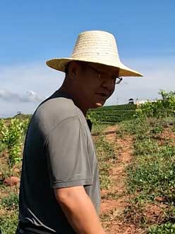 农业人叶涛，50多岁通讯人跨界搞农业，他要用1000万打造一个梦。